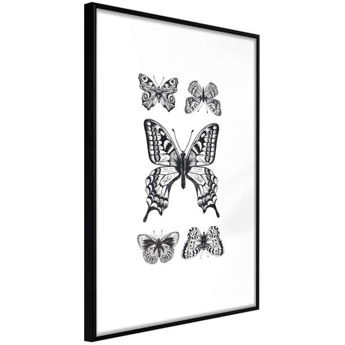  Poster - Butterfly Collection IV 20x30 Slike