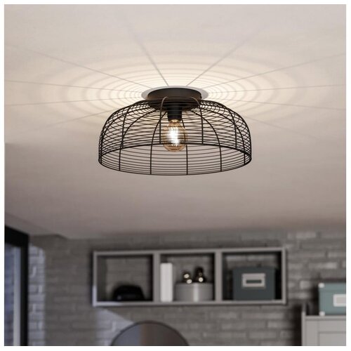 Eglo 43896 - plafonsko svetlo rinroe 1xE27/40W/230V crna Cene