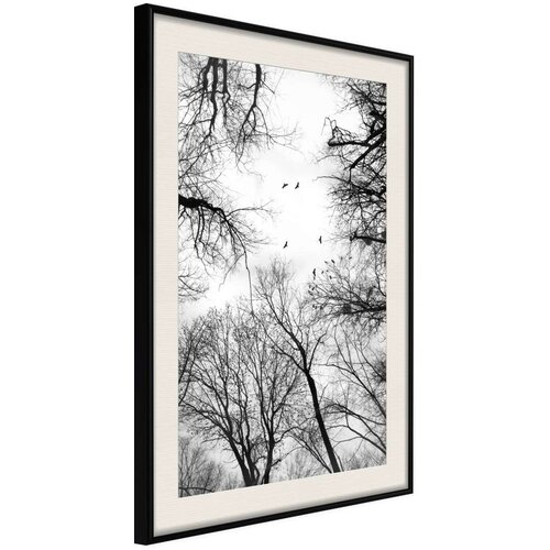  Poster - Treetops 40x60 Slike