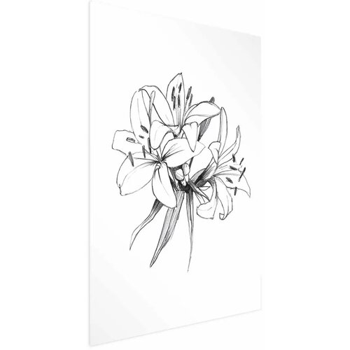  Plakat Drawn Flowers 40x60 Cijene