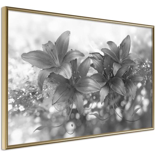 Poster - Dark Lillies 45x30 Slike
