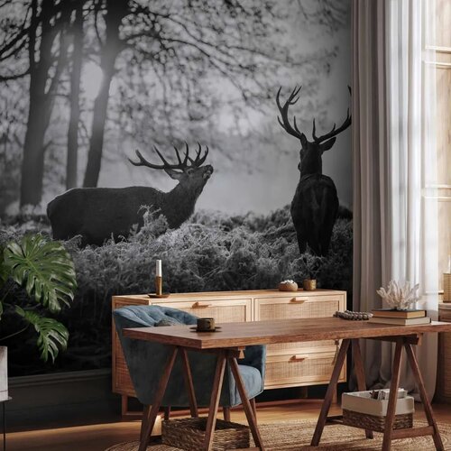  Foto tapeta - Deers in the Morning 250x175 Premium Cene