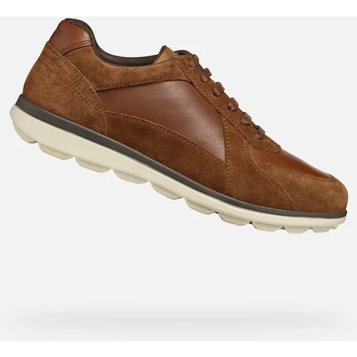 Geox Brown men's sneakers Spherica Ec12 - Men's