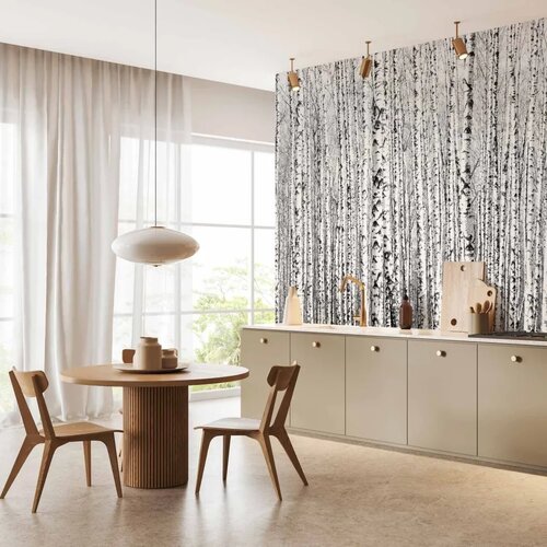  Foto tapeta - Birch forest 250x175 Vodootporna Cene
