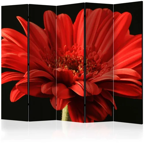  Paravan u 5 dijelova - Red gerbera flower II [Room Dividers] 225x172