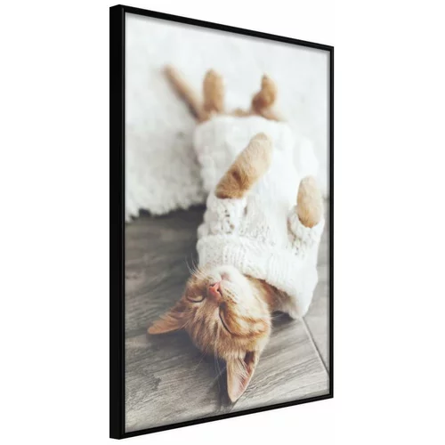  Poster - Kitten Life 20x30