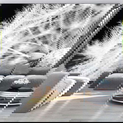  Tapeta - Black and white dandelion 200x140 Slike