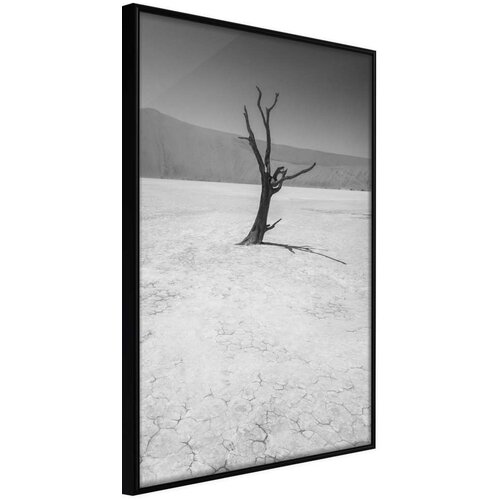  Poster - Survivor 20x30 Cijene