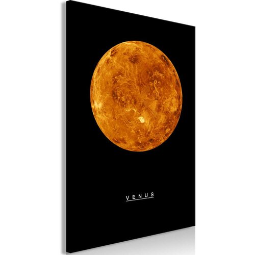  Slika - Venus (1 Part) Vertical 60x90 Cijene