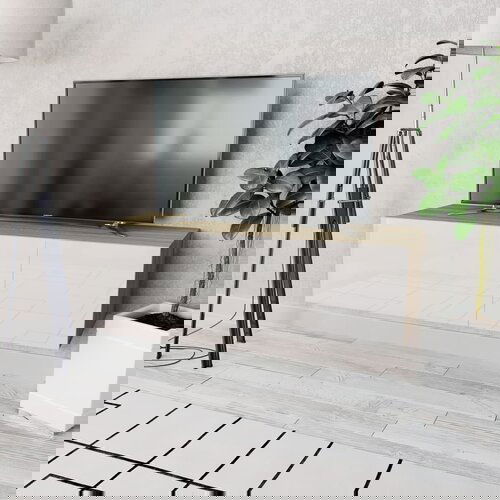 vidaXL TV omarica iverna plošča 120x40x34 cm visok sijaj bela in hrast, (20913490) Cene