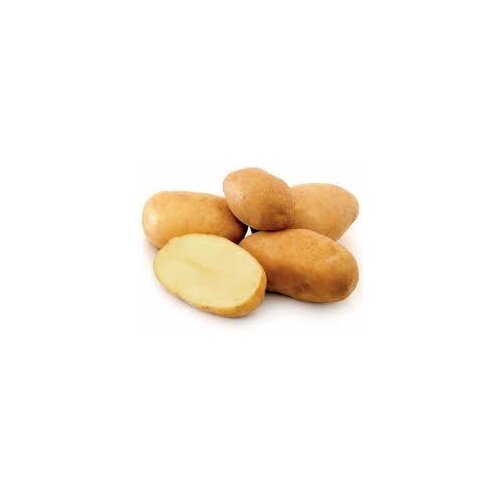 Krstomir Radojković krompir beli 1kg Cene