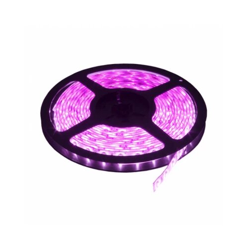 Hennessy LED traka roza 60 LED / 1m LTR3528/60P-12 Slike