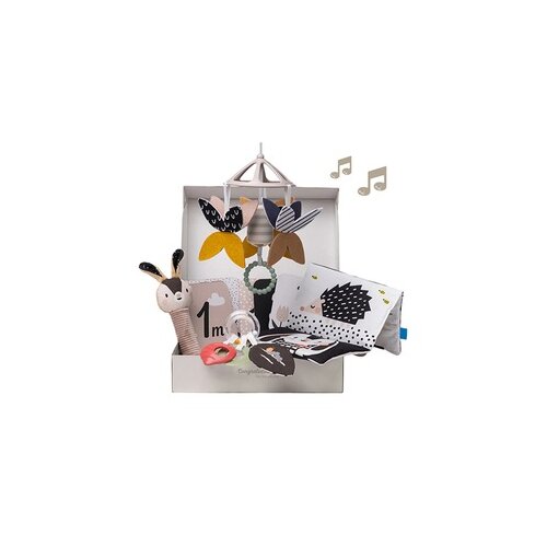  Taf Toys set za novorođenče 22114121 Slike