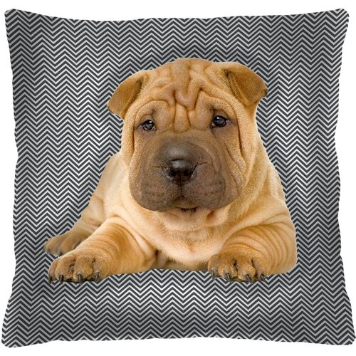 Bertoni Home unisex's square pillow scott Slike