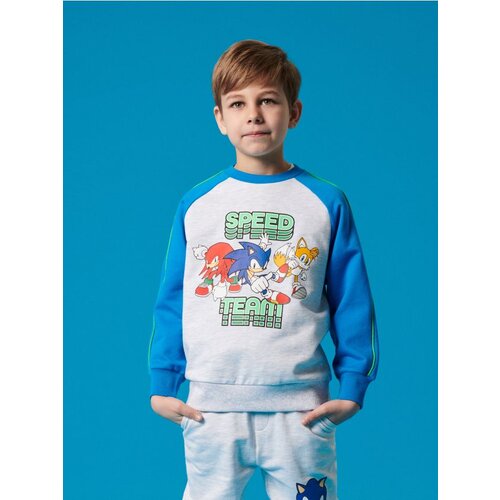 Sinsay Gornji dio trenirke s printom Sonic the Hedgehog Cijene