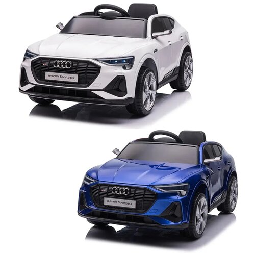  AUTO AUDI E-TRON 26508 Cijene