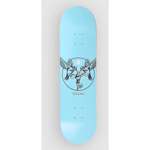 Birdhouse Hummingbird Logo 8.25" Skateboard deska blue Cene