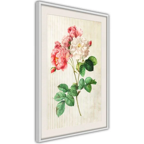  Poster - Romance II 40x60
