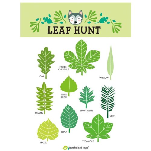 TENDER LEAF TOYS leseni set za izlet v gozd forest trail set Slike