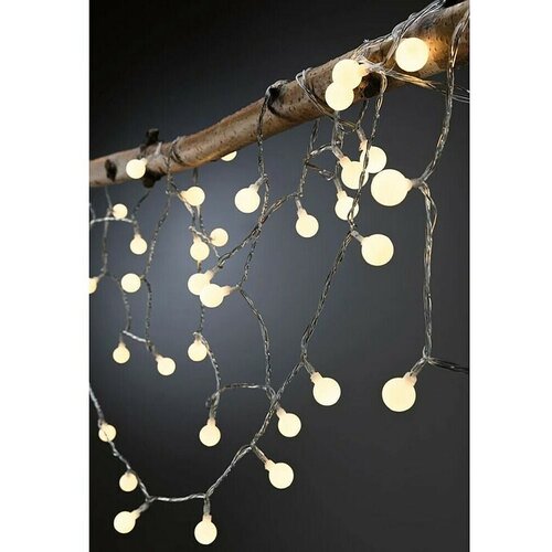 PAULMANN Plug & Shine LED svjetlosni lanac (Na otvorenom, Boja svjetla: Topla bijela, Broj žarulja: 48 Kom.) Cene