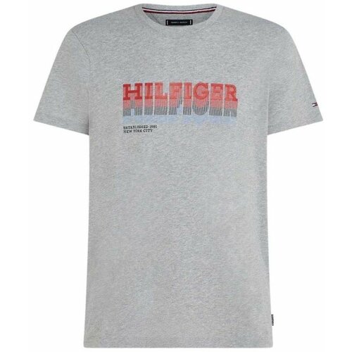 Tommy Hilfiger muška majica sa logo printom  THMW0MW34377-P01 Cene