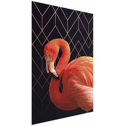  Plakat - Flamingo Solo 40x60 Bez okvira Cene