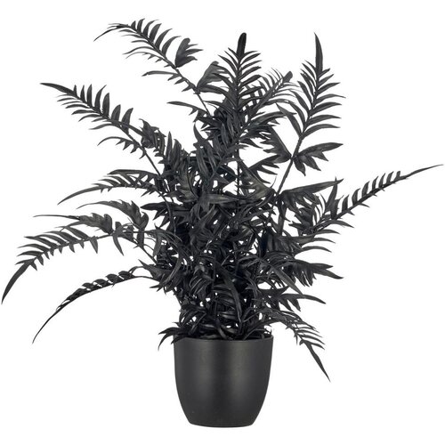 Mömax Umetna Rastlina Pteris Ii -Paz- Cene