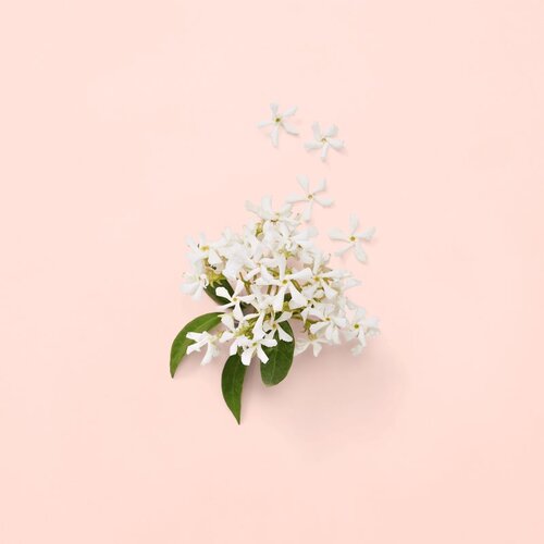Gucci Bloom parfemska voda za žene 30 ml Slike