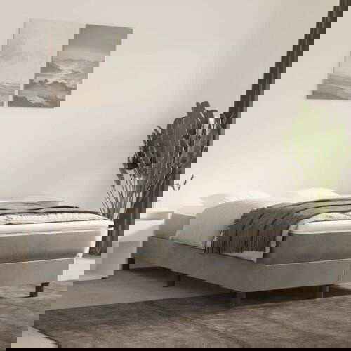 The Living Store Posteljni okvir svetlo siv 120x200 cm žamet - Box Spring Posteljni Okvir, (21488292) Slike