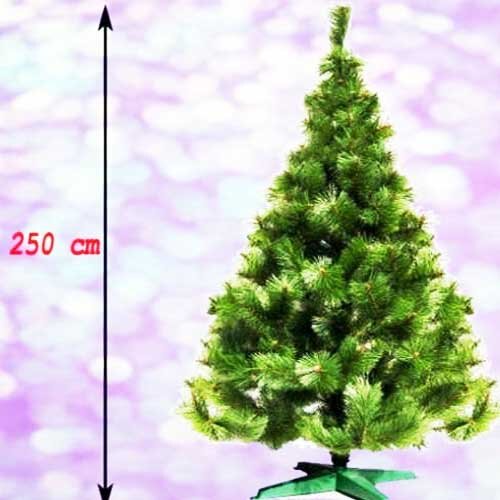 G-Trees Novogodi&scaron;nja jelka Bor 250 cm Cene