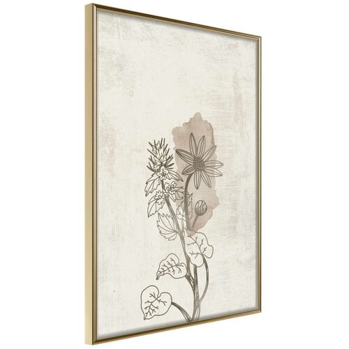  Poster - Life of Plants 40x60 Slike