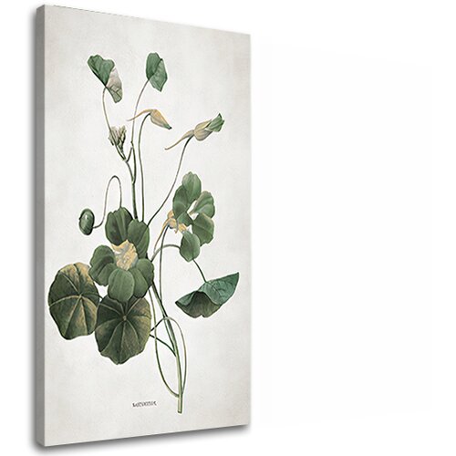  Slike  na platnu biljke 011 (moderne slike na platnu) Cene