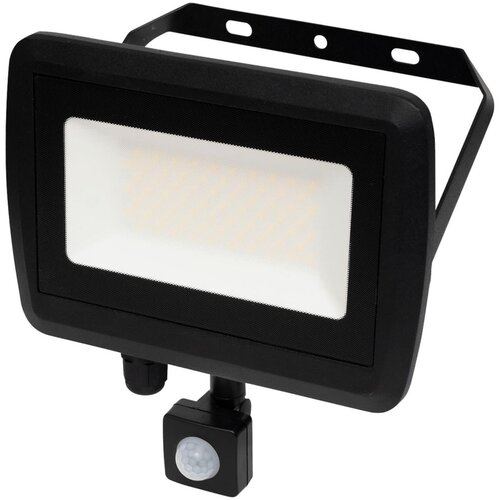 Home Reflektor, LED, sa detektorom pokreta, 50 W, 4000 lm, IP65 – FLL PIR 50 Cijene
