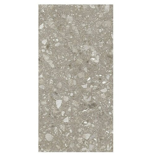  Kamena podna pločica Terra Greige Sugar (120 x 60 cm, Sivo-bež, Mat) Cijene