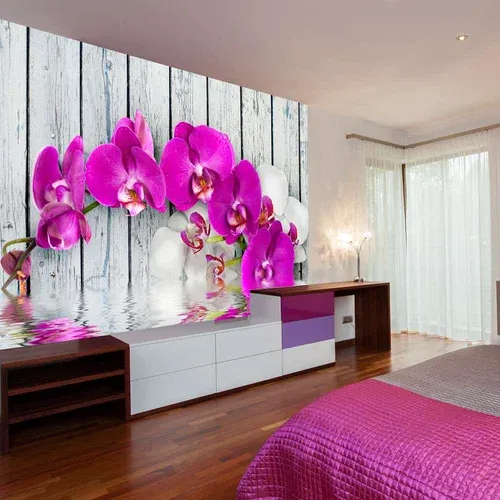  tapeta - Violet orchids with water reflexion 350x270