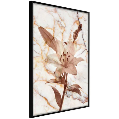  Poster - Lily on Marble Background 20x30