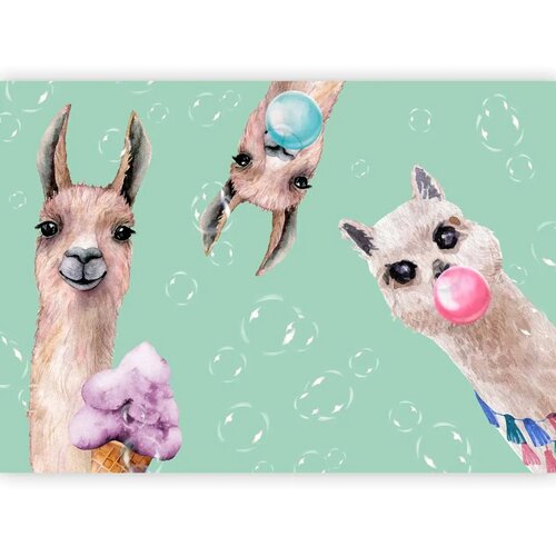  Foto tapeta - Crazy Llamas 245x175 Samoljepljiva Slike