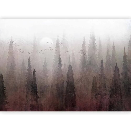 Foto tapeta - Bird\'s flight over treetops - landscape of a dark forest in fog 147x105 Samoljepljiva Cene