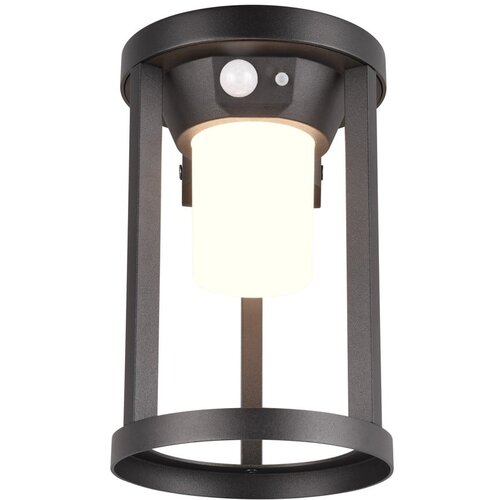 Tri O LED Zunanja svetilka s senzorjem gibanja (vi&amp;scaron;ina 21 cm) Carmo - Slike