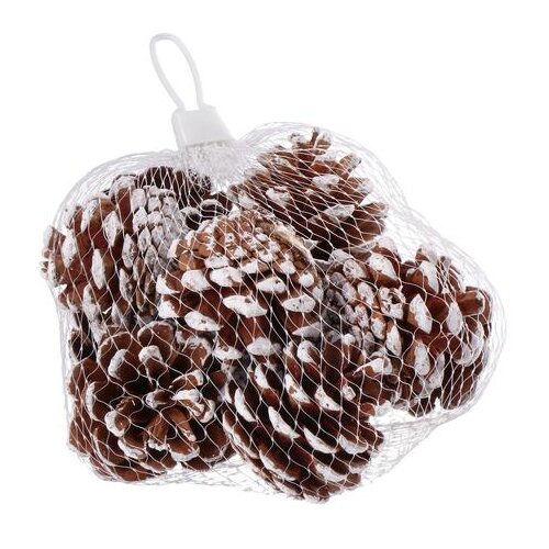 Dekoracija ŽIR SET 11/1 5CM 107646 Slike