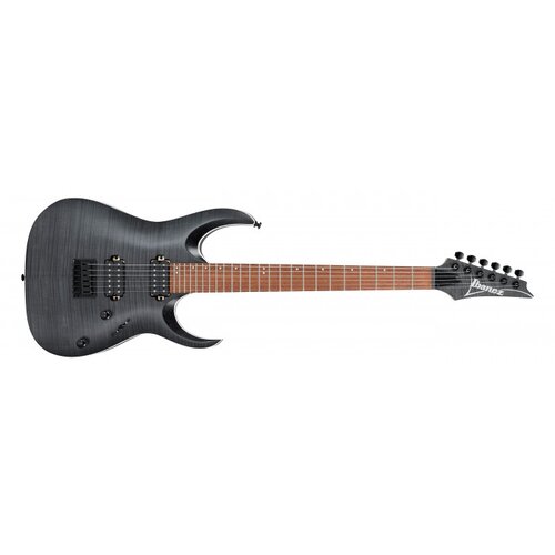 Ibanez Električna gitara RGA42FM-TGF, Transparent Gray Flat Slike