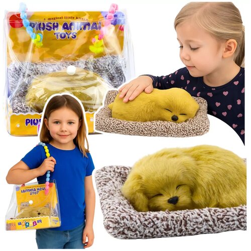 Lean Toys Usnulo &amp;scaron;tene labradora na figurici jastuka s krznom i prozirnom vrećicom Slike