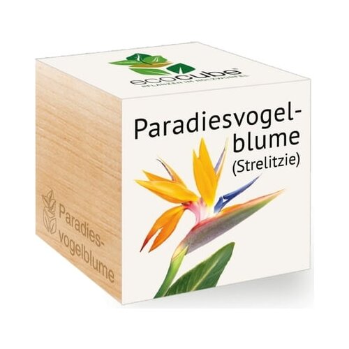 Feel Green ecocube "rajska ptica" Cene