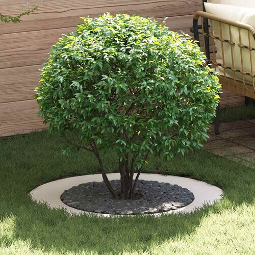  Pogodno za ravne drvene prstenove 5 pcs Bijelo &Oslash;60 / 90 cm Čelik Cijene