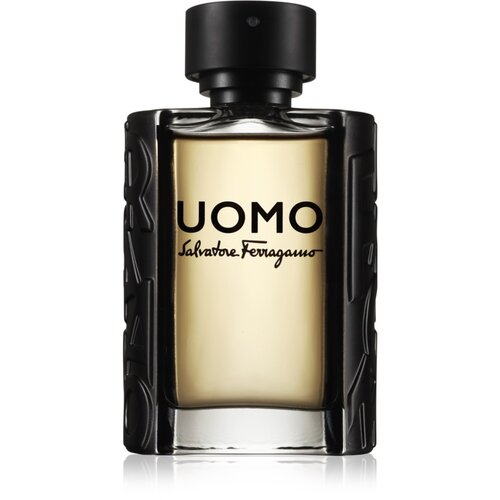 Salvatore Ferragamo Uomo Eau De Toilette 100 ml (man) Cijene