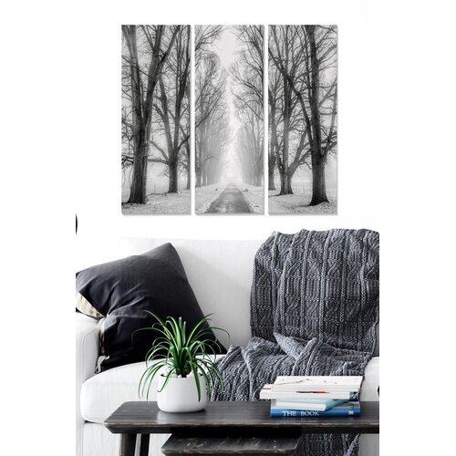 Wallity Set slika MDF1890653, 3 dijela Cene