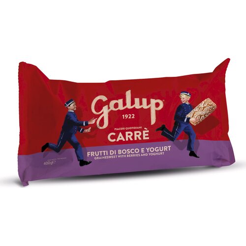 Galup Naravna pecivo iz kislega testa z jagodičevjem in jogurtom - 400 g Cene