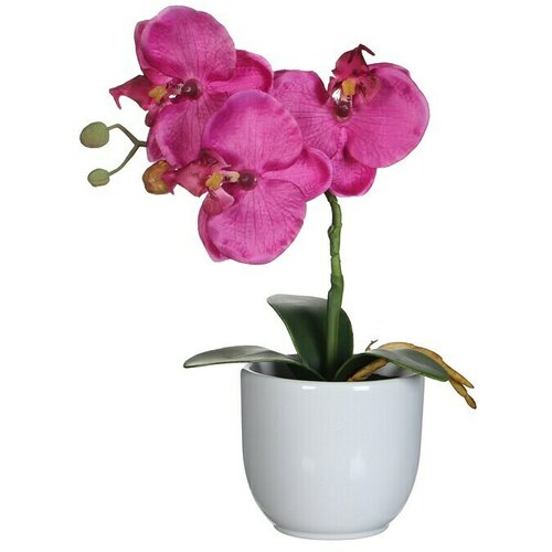  Umetna rastlina Phalaenopsis (Vi&scaron;ina: 26 cm, Vijolična, Plastika) Cene