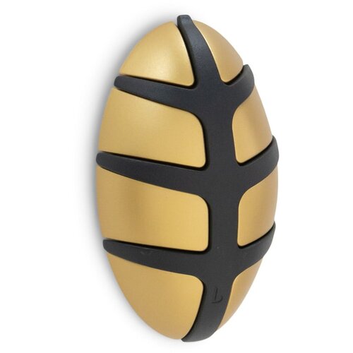 Spinder Design Stenski obešalnik v zlati barvi Bug – Cene