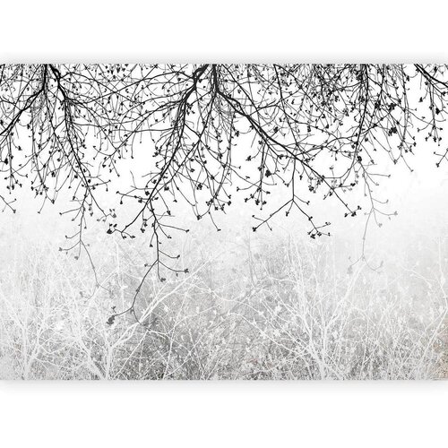 Artgeist Foto tapeta - Natural Brightness 250x175 Cijene